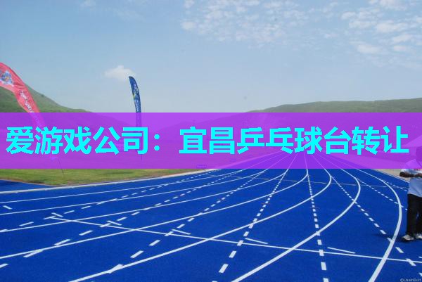 爱游戏公司：宜昌乒乓球台转让