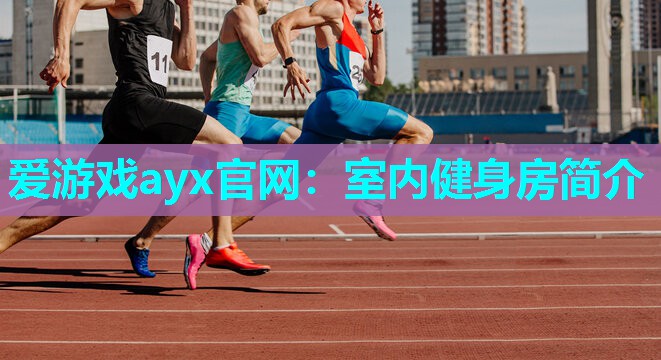 爱游戏ayx官网：室内健身房简介